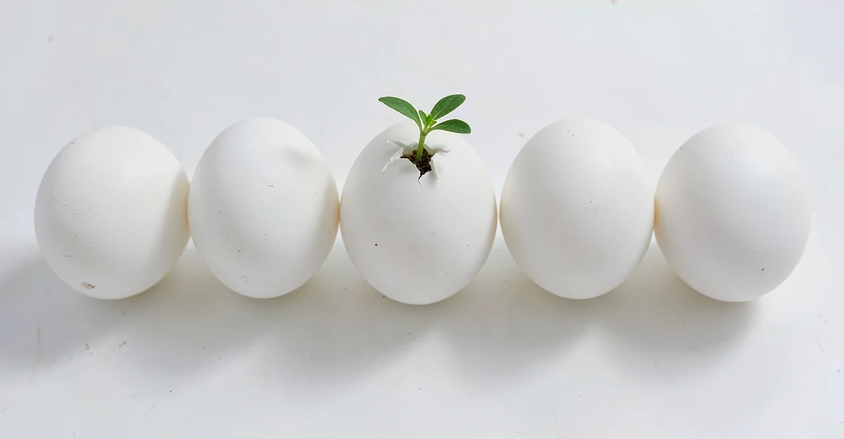 Business professional assessing NIS2 compliance scope